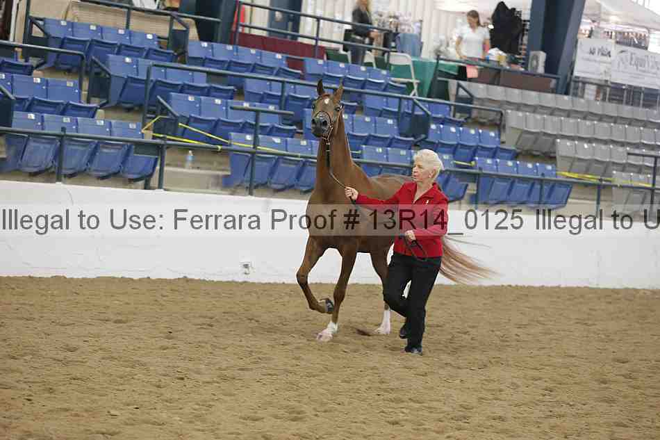 Proof Number 13r14_0125