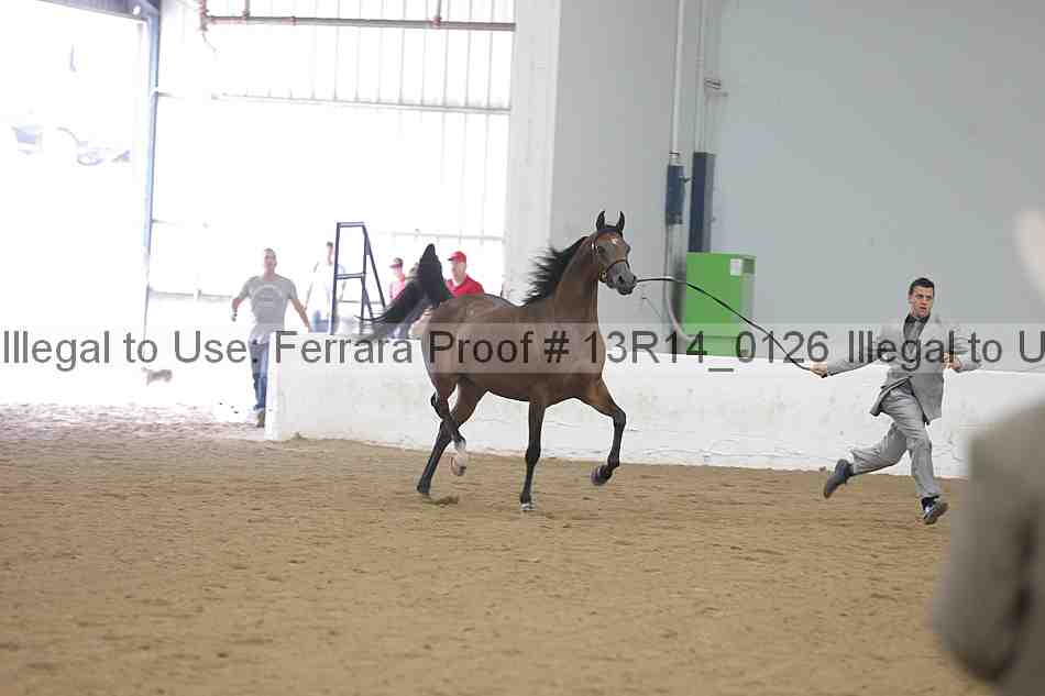 Proof Number 13r14_0126
