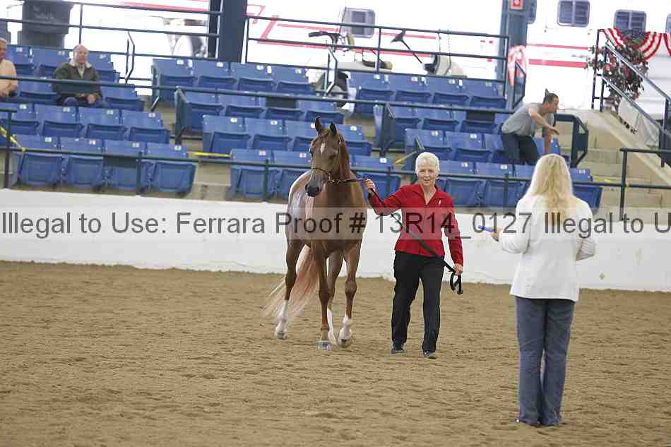 Proof Number 13r14_0127
