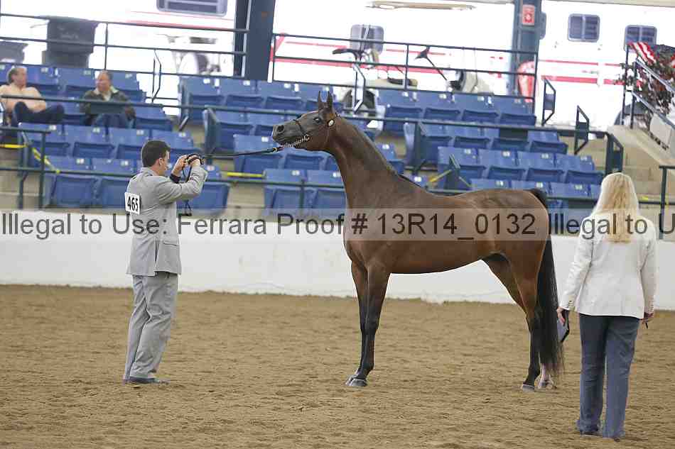 Proof Number 13r14_0132