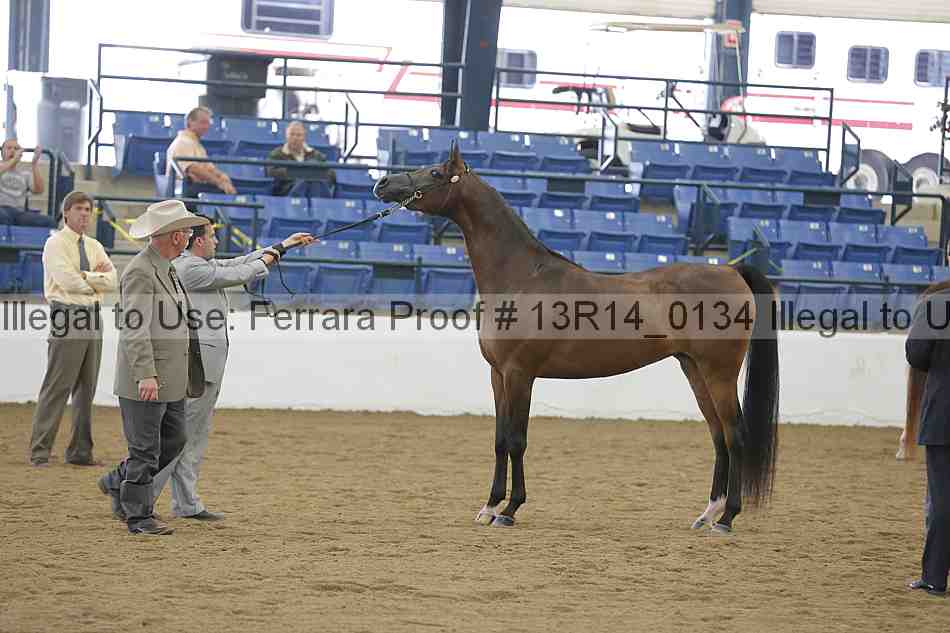 Proof Number 13r14_0134