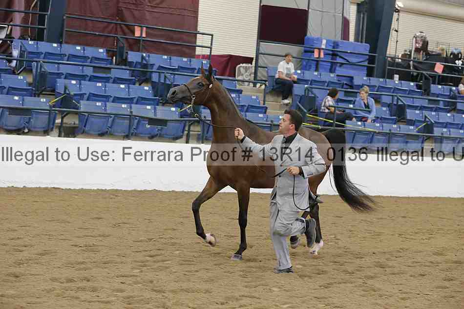 Proof Number 13r14_0136