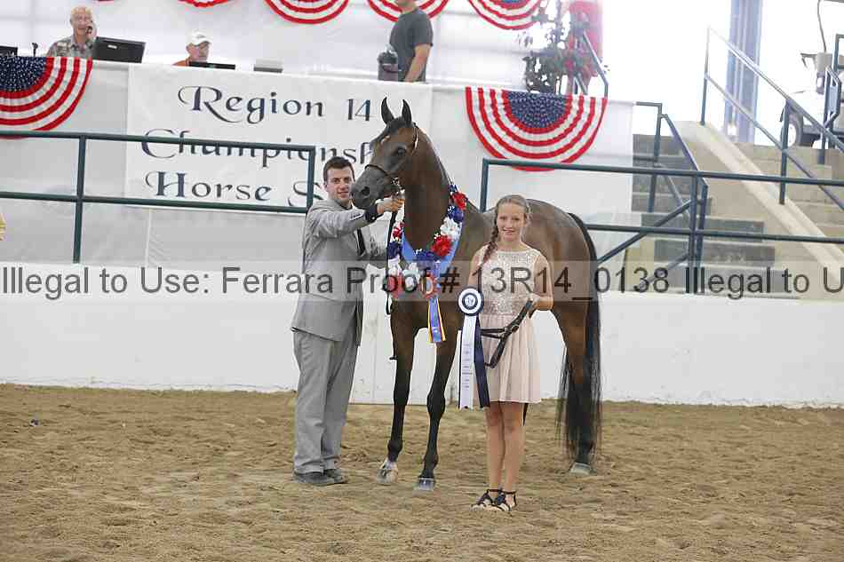 Proof Number 13r14_0138