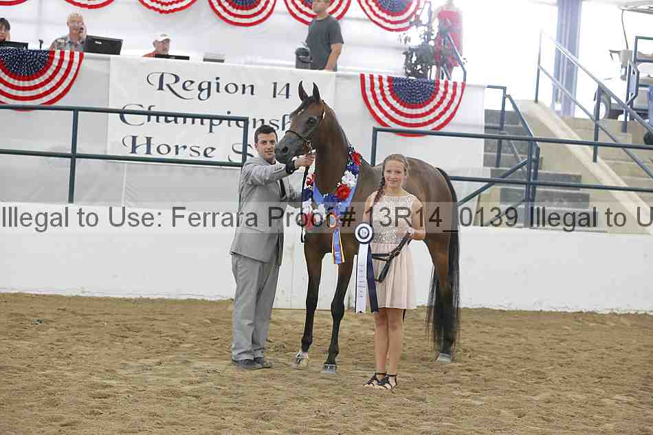 Proof Number 13r14_0139