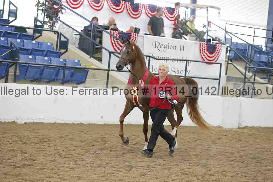Proof Number 13r14_0142