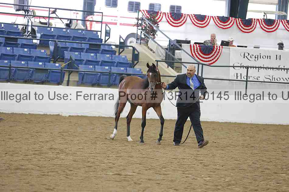 Proof Number 13r14_0145