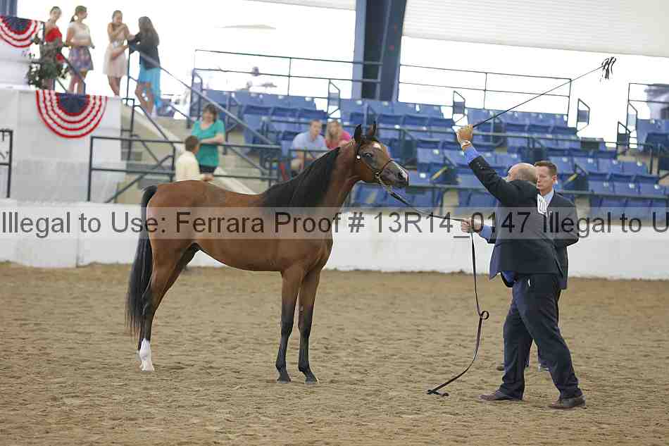 Proof Number 13r14_0147