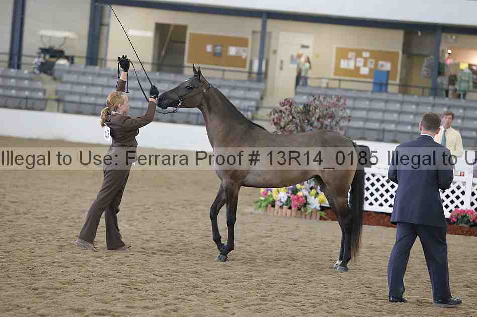 Proof Number 13r14_0185