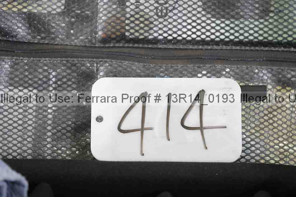 Proof Number 13r14_0193