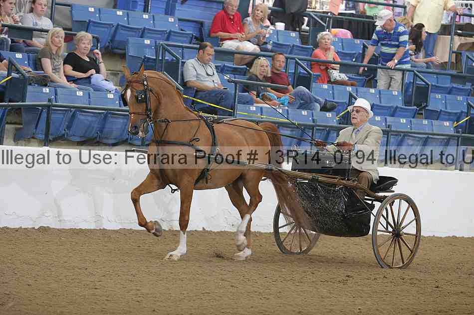 Proof Number 13r14_0194