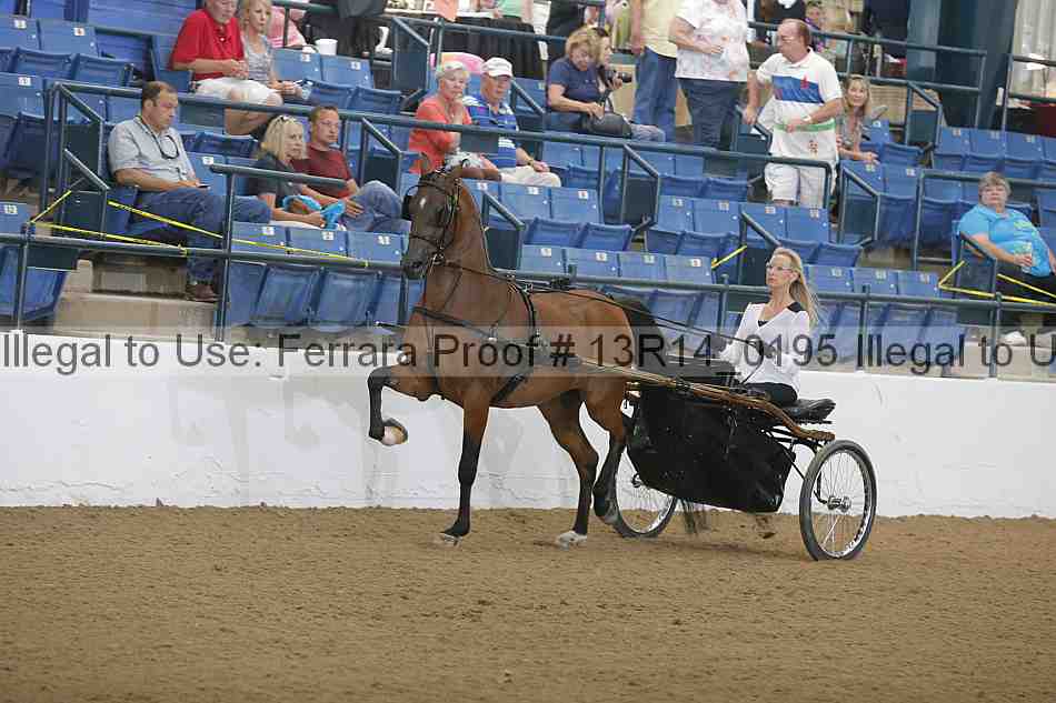 Proof Number 13r14_0195