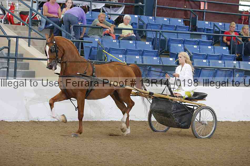 Proof Number 13r14_0198