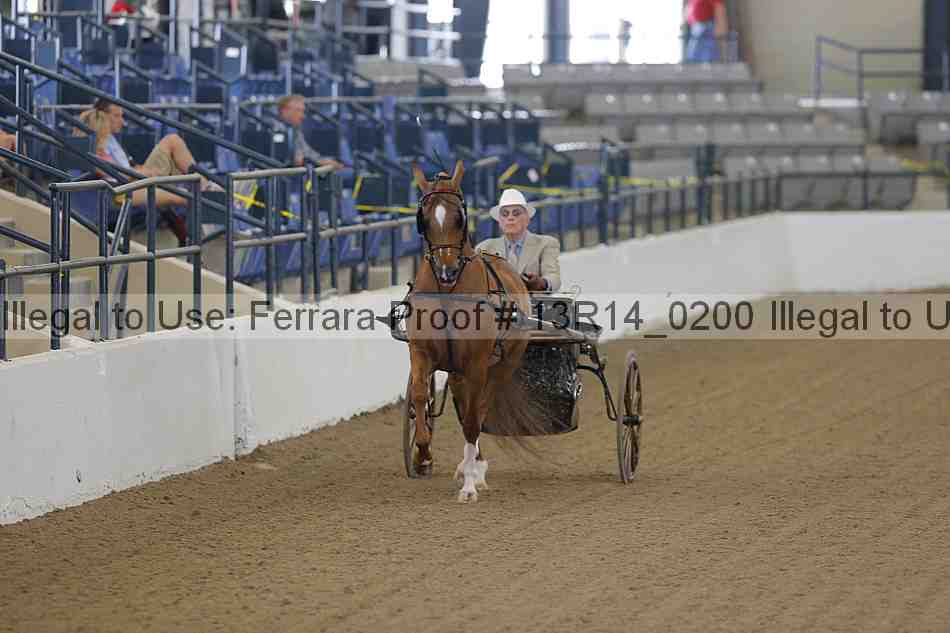 Proof Number 13r14_0200