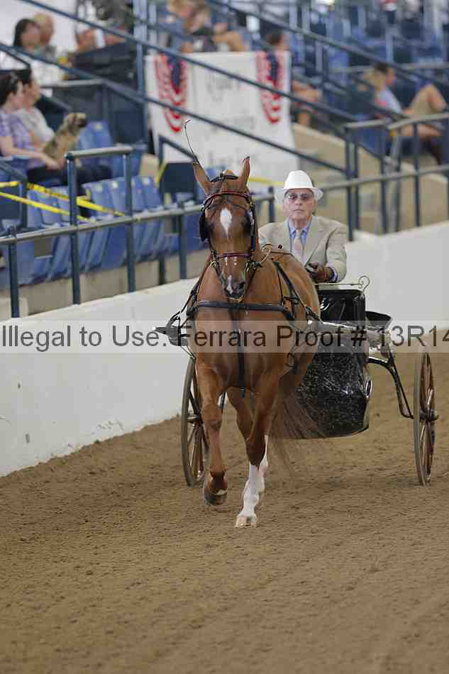 Proof Number 13r14_0202