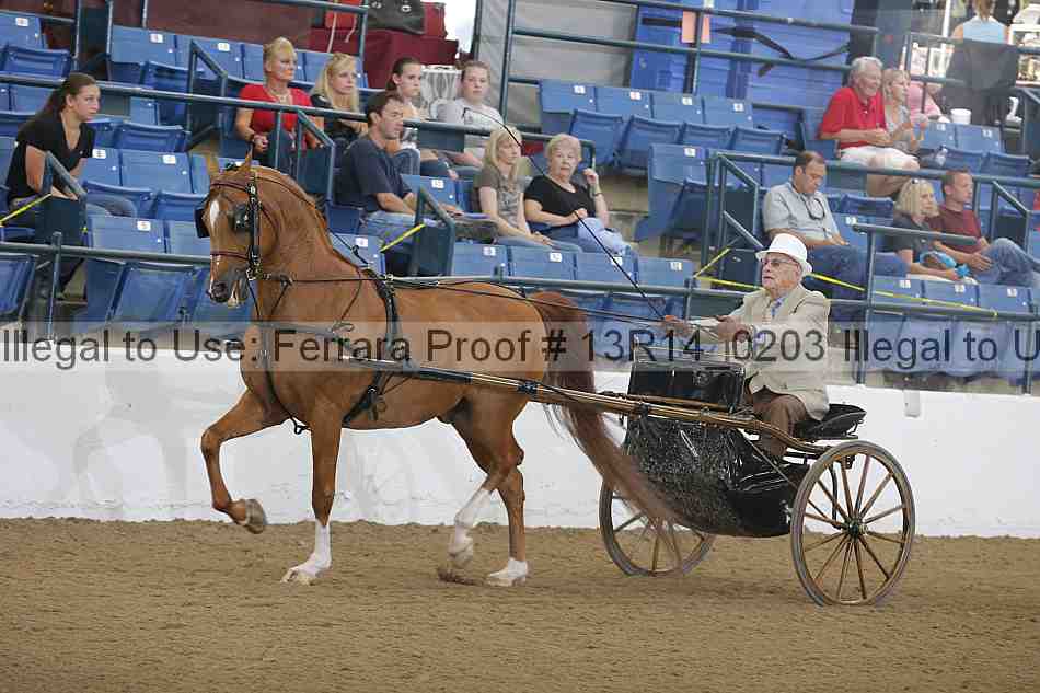 Proof Number 13r14_0203