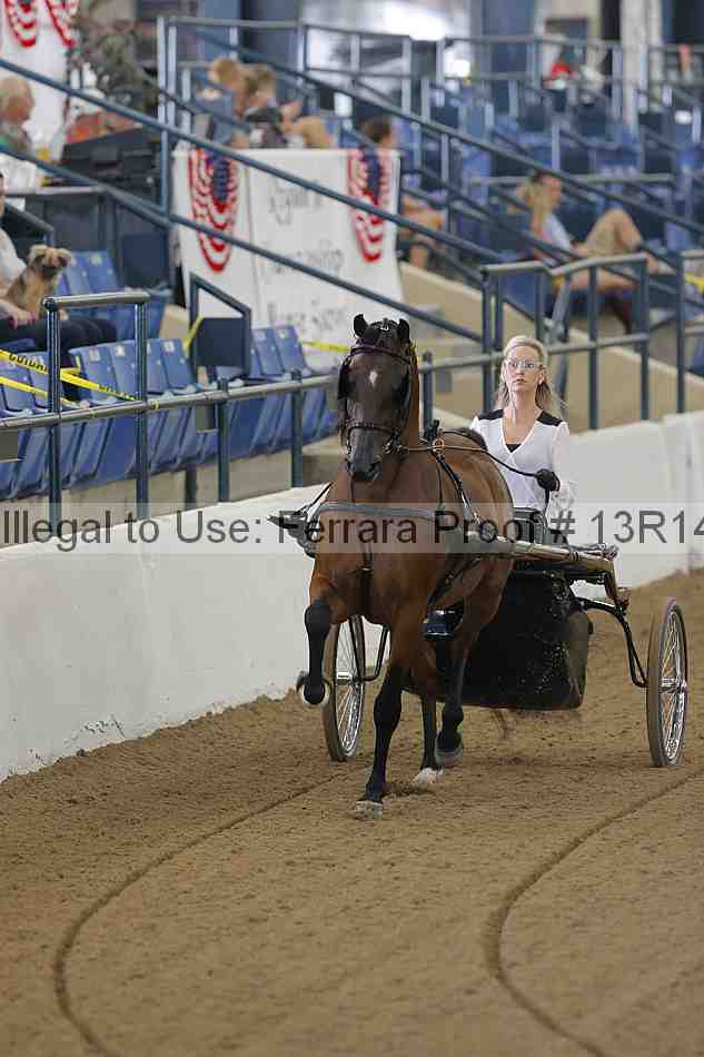 Proof Number 13r14_0204