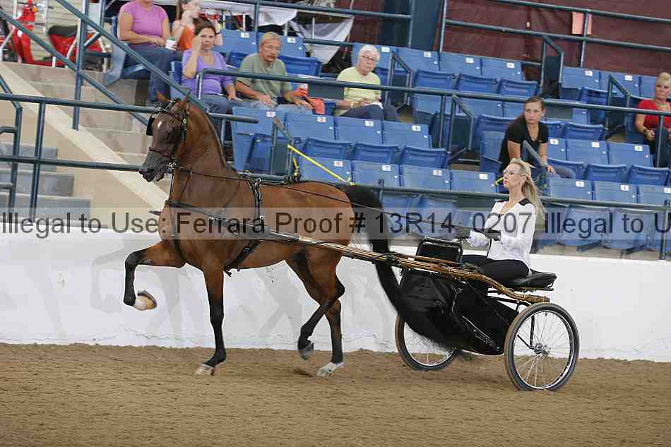 Proof Number 13r14_0207