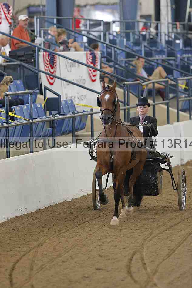 Proof Number 13r14_0208