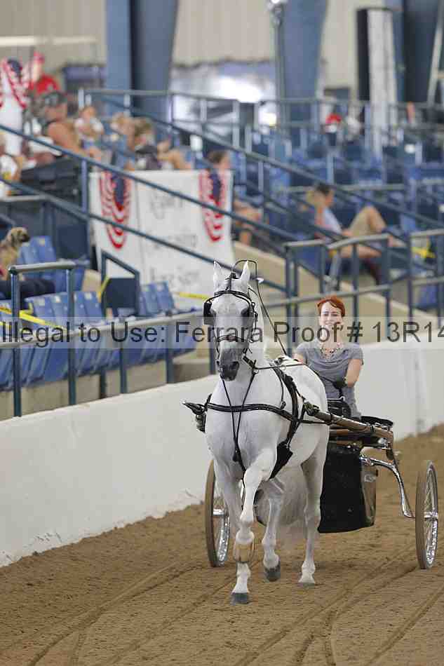 Proof Number 13r14_0210