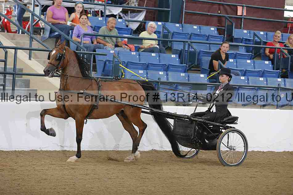 Proof Number 13r14_0212