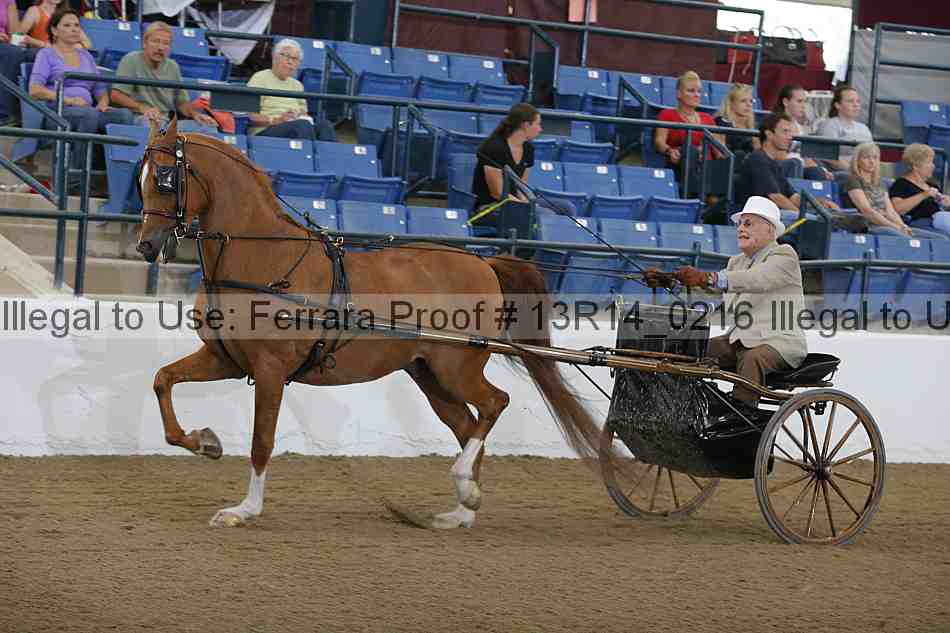 Proof Number 13r14_0216