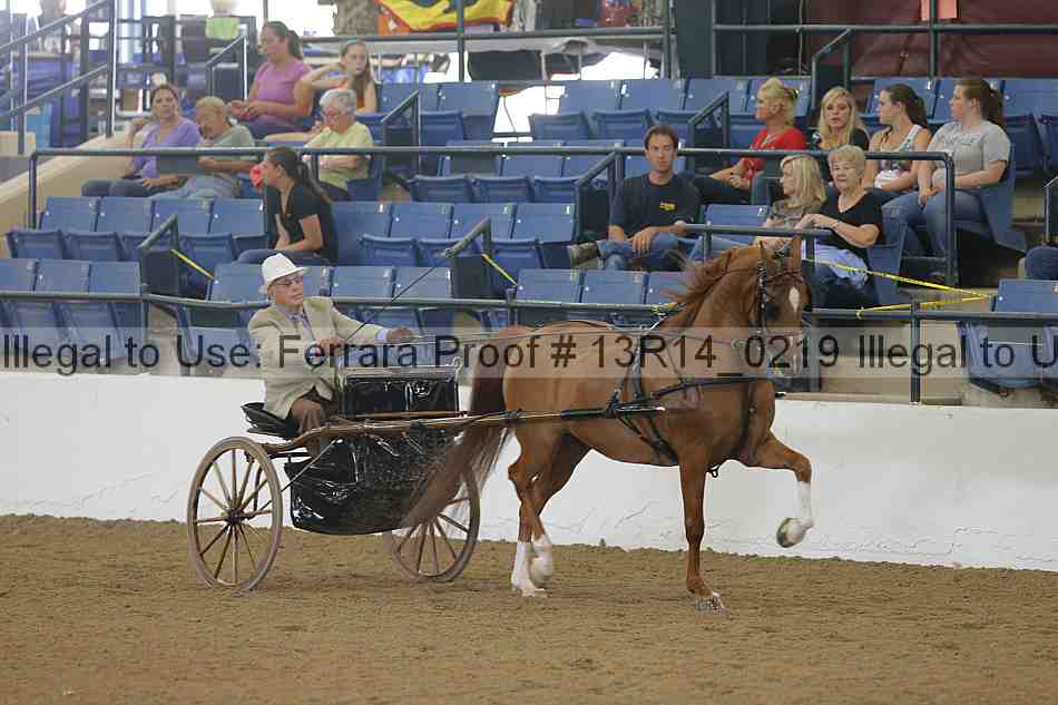 Proof Number 13r14_0219