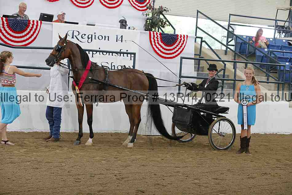 Proof Number 13r14_0221