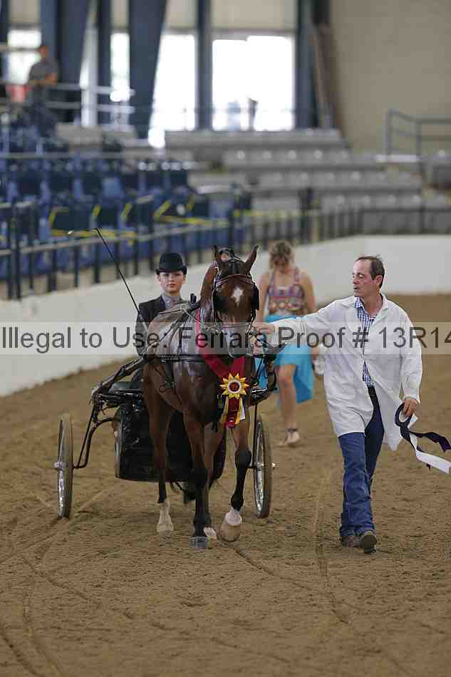 Proof Number 13r14_0222
