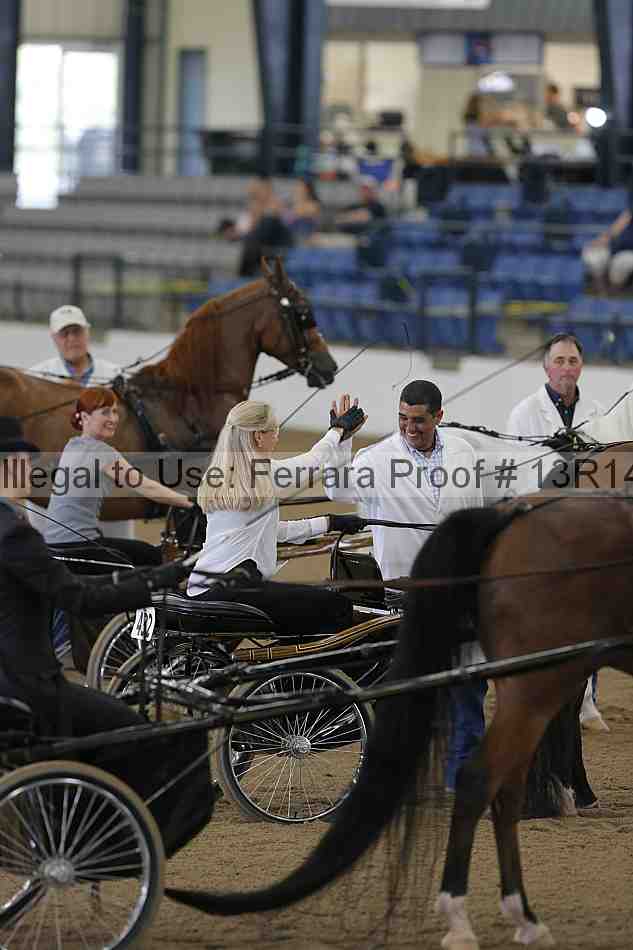 Proof Number 13r14_0225