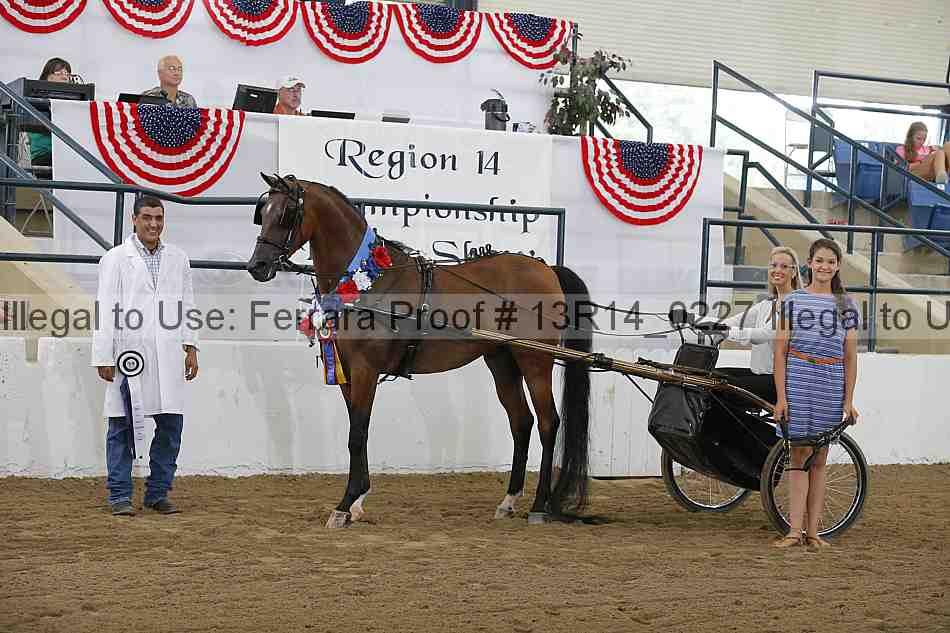 Proof Number 13r14_0227