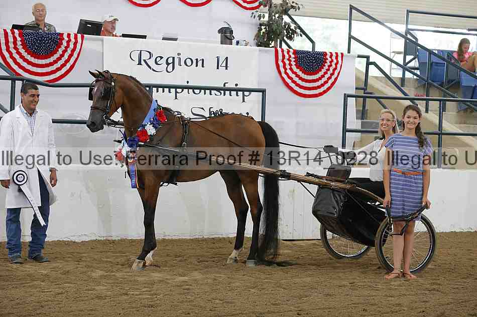 Proof Number 13r14_0228