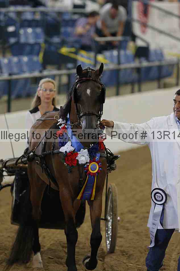 Proof Number 13r14_0231
