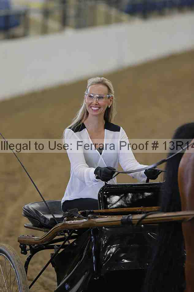 Proof Number 13r14_0234