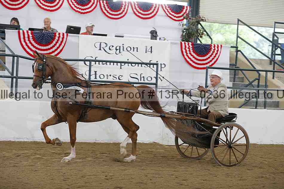 Proof Number 13r14_0236