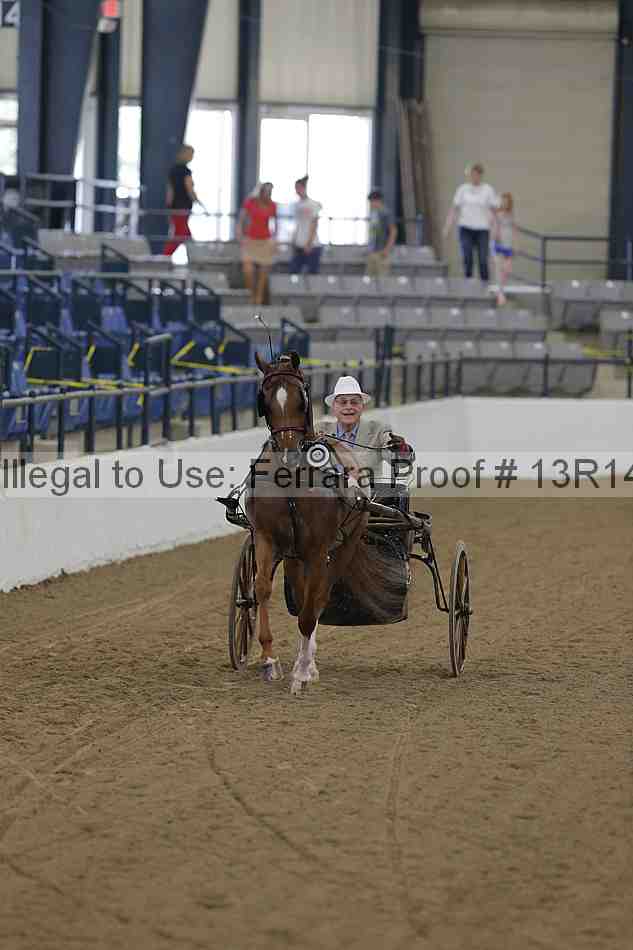 Proof Number 13r14_0237