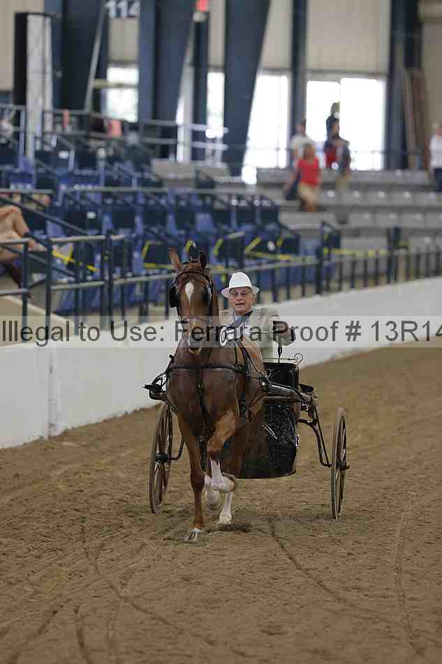 Proof Number 13r14_0238