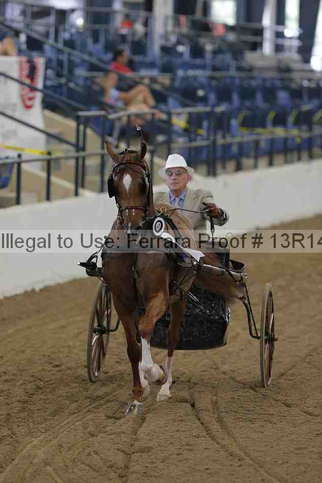 Proof Number 13r14_0239