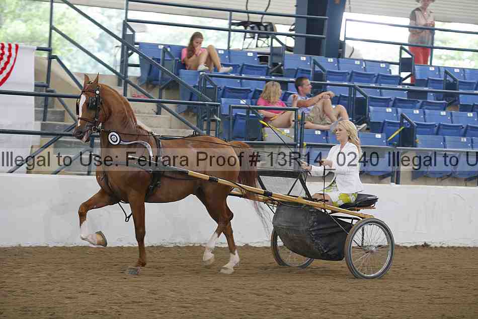 Proof Number 13r14_0240