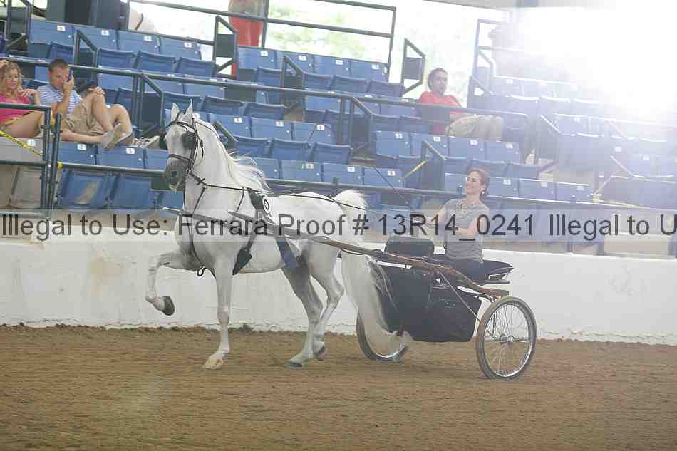Proof Number 13r14_0241