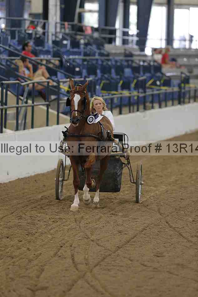 Proof Number 13r14_0242