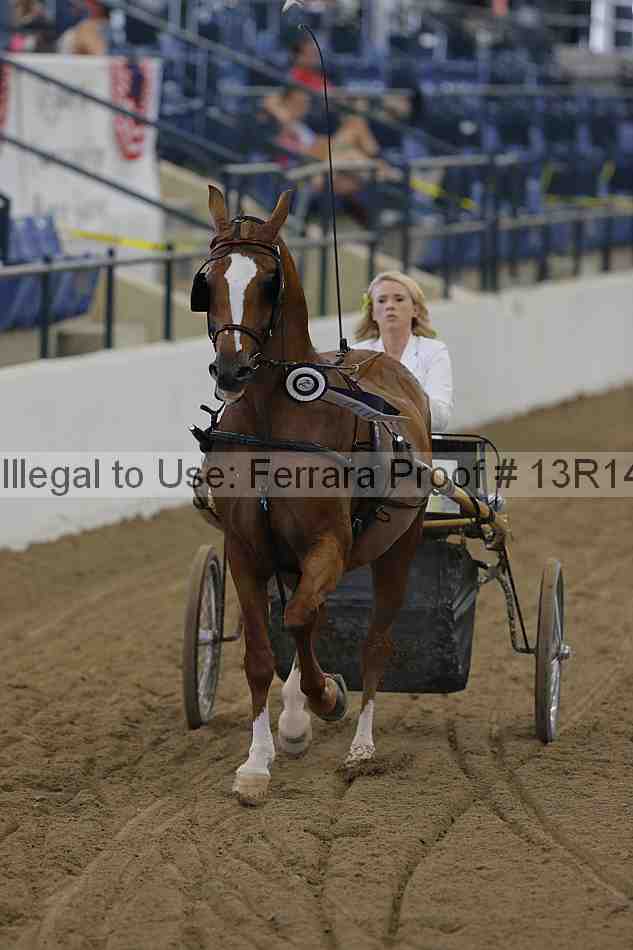 Proof Number 13r14_0243