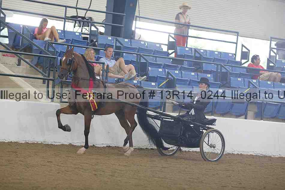 Proof Number 13r14_0244