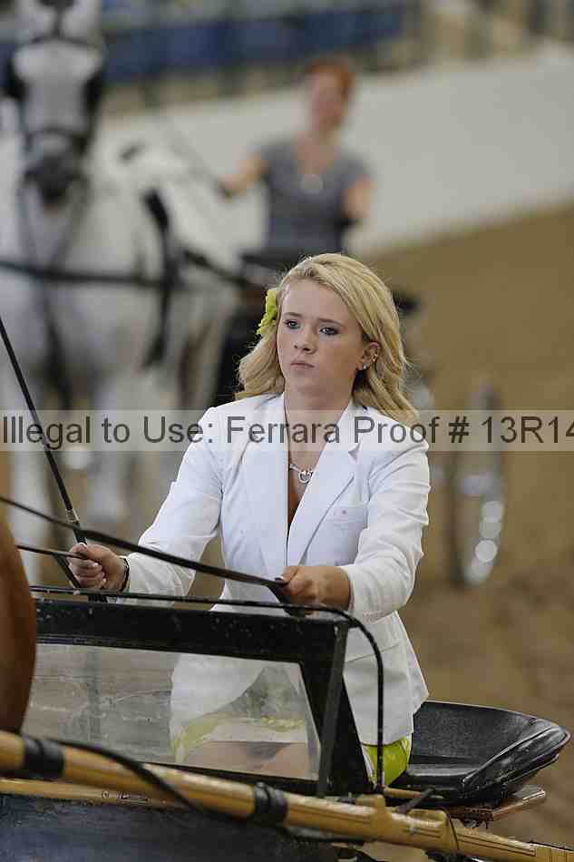 Proof Number 13r14_0245