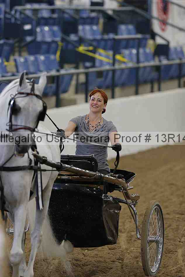 Proof Number 13r14_0246