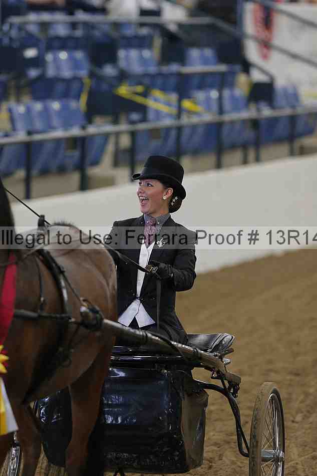 Proof Number 13r14_0247