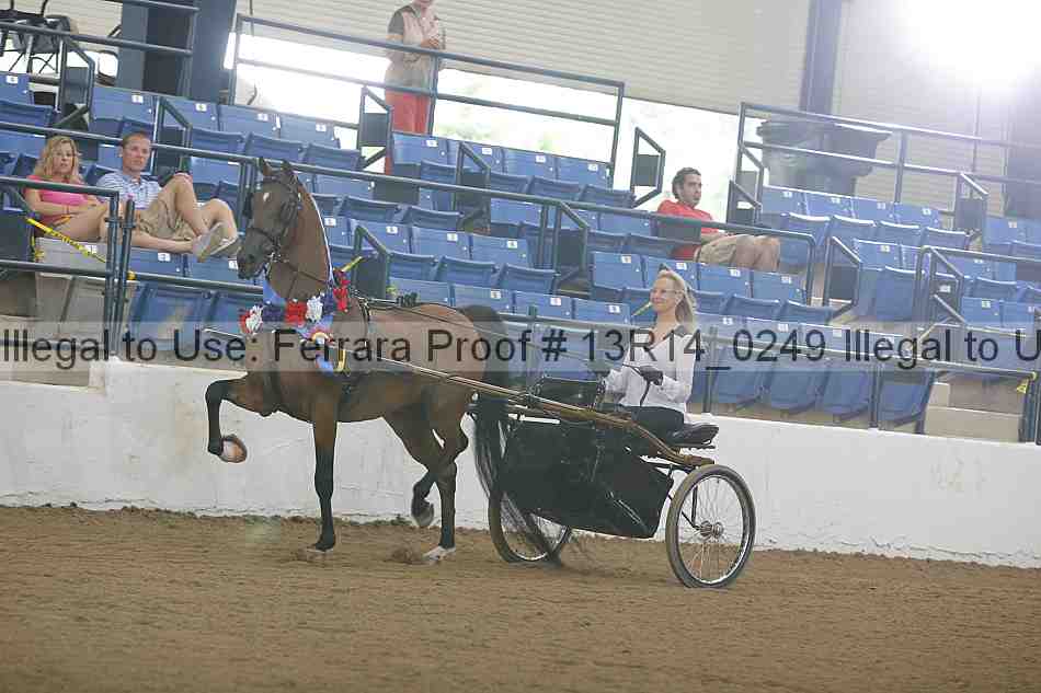 Proof Number 13r14_0249