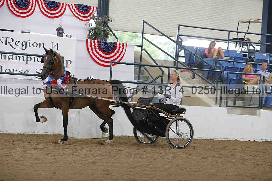 Proof Number 13r14_0250