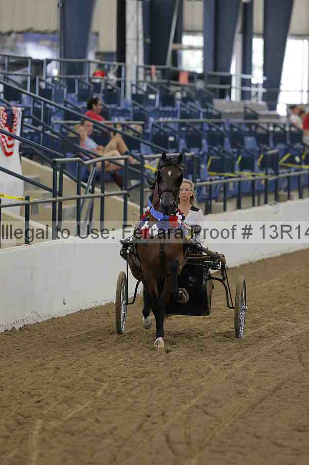 Proof Number 13r14_0251