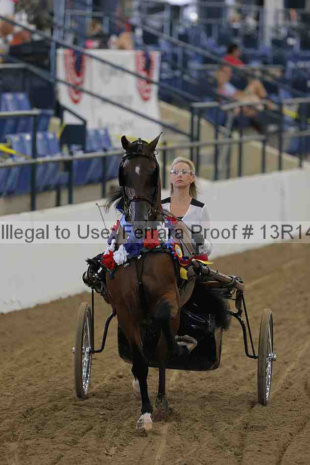 Proof Number 13r14_0252