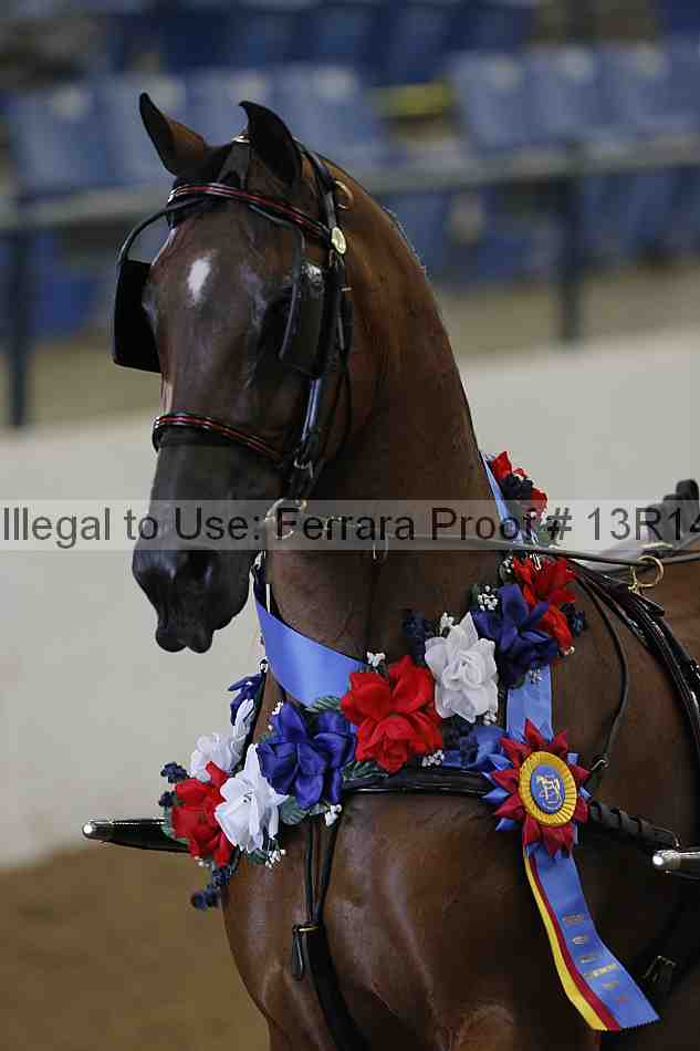 Proof Number 13r14_0253